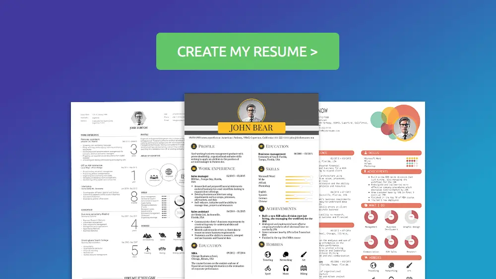 Minimalistic Resume Templates