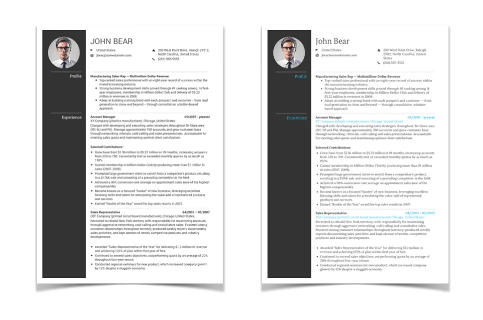 Ladder Minimalistic Resume Templates