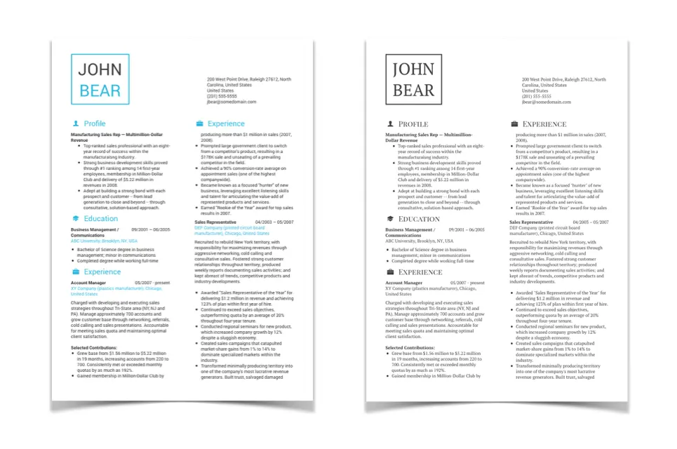 Visibility Minimalistic Resume Templates