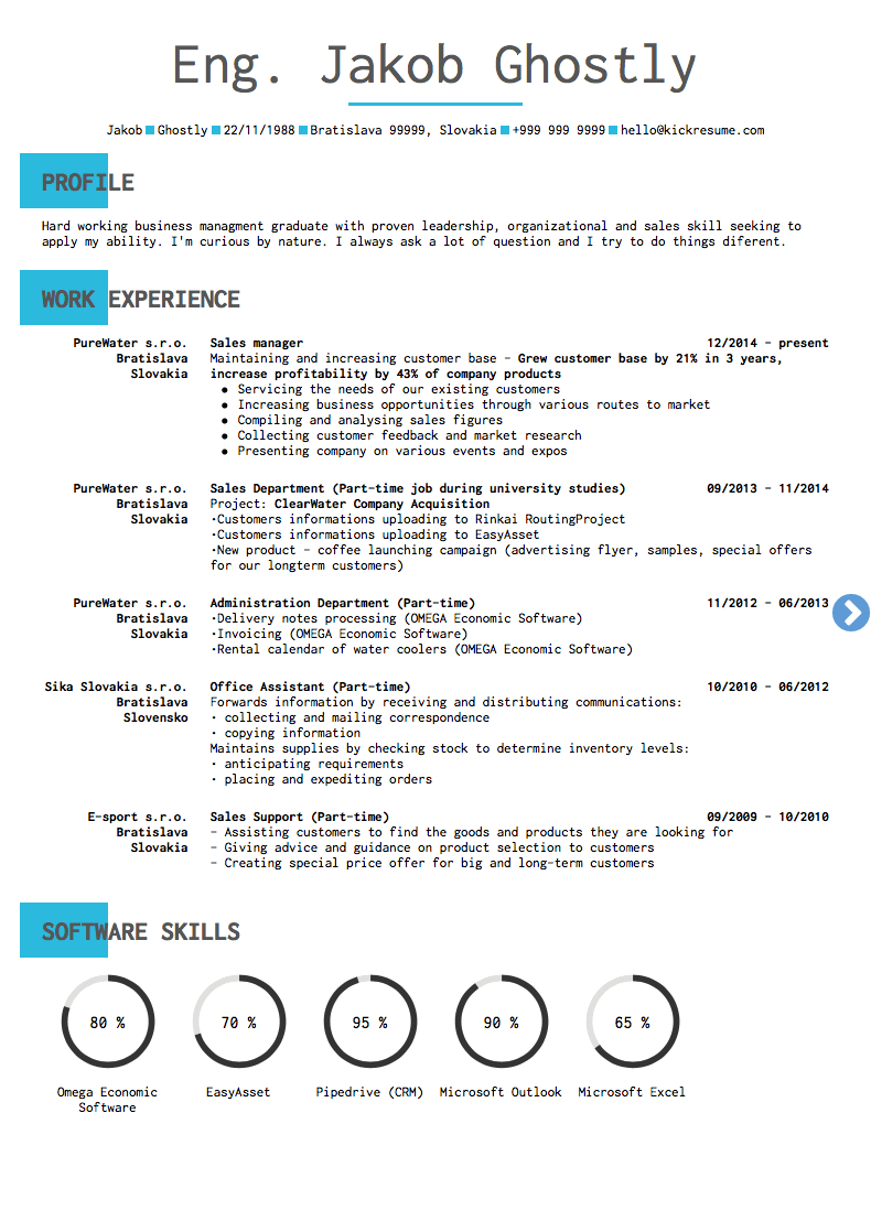 7. Dell: Program Manager Resume Sample