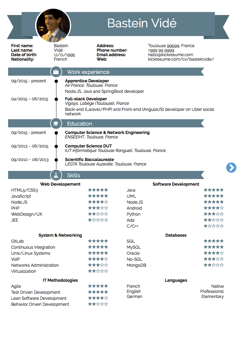 Air France Full-stack Developer Resume Example