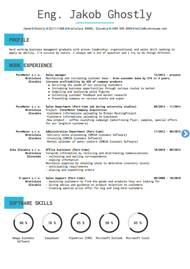 Dell GCP Program Manager IT Resume Example