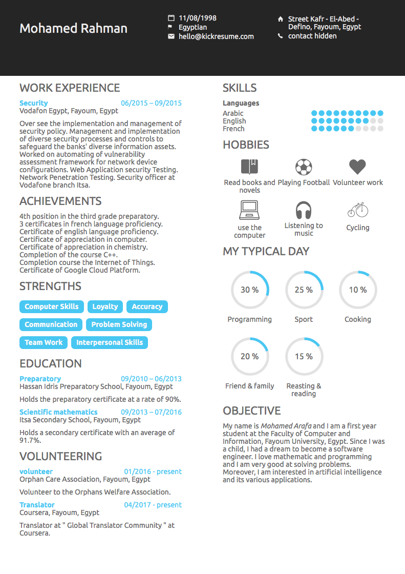 IBM Software Engineer IT Resume Example