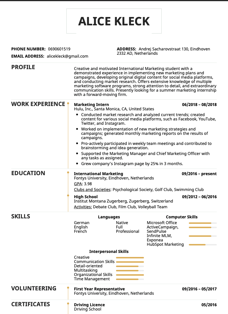 Marketing Intern Resume Example