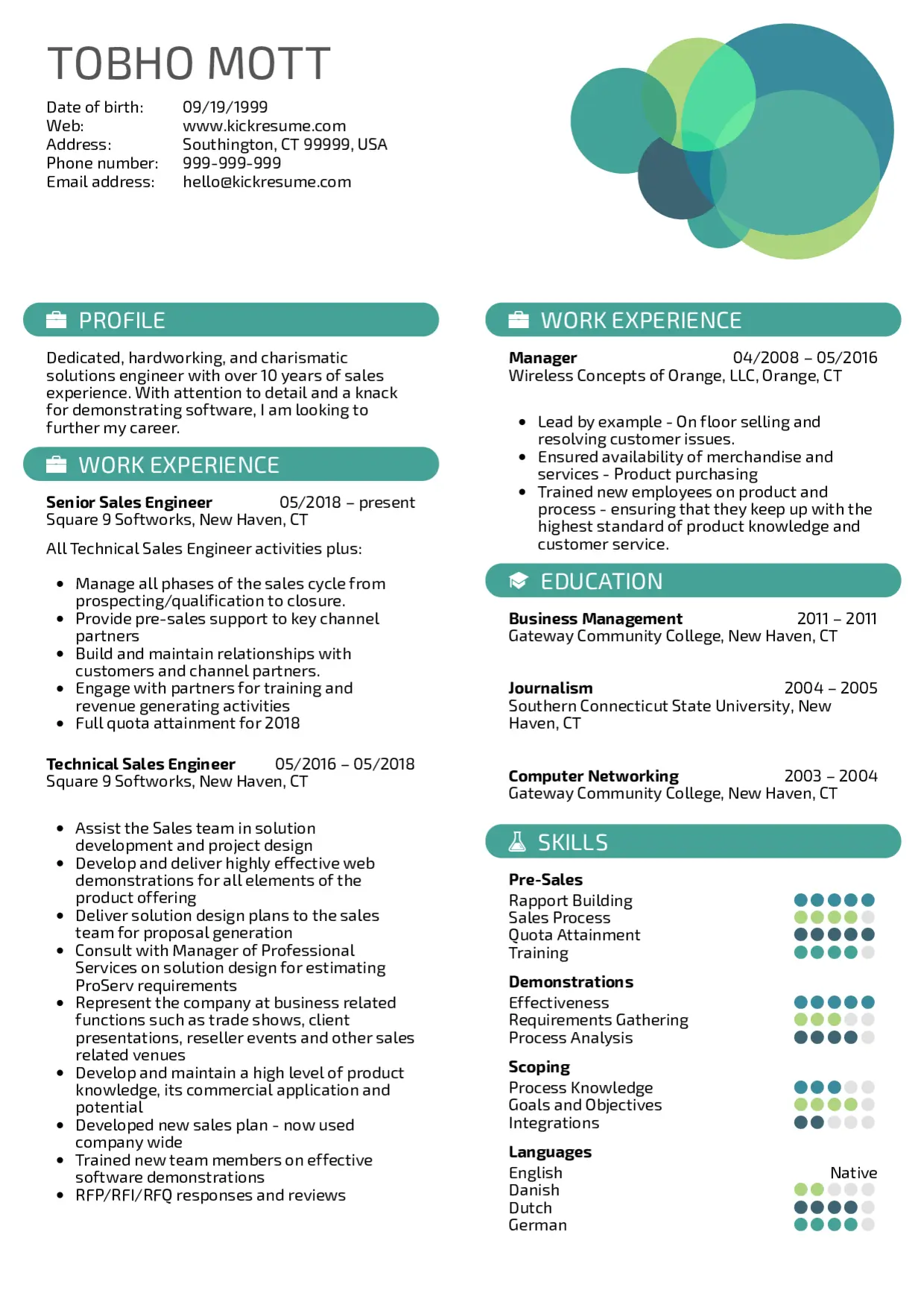 Sales Manager Resume Sample