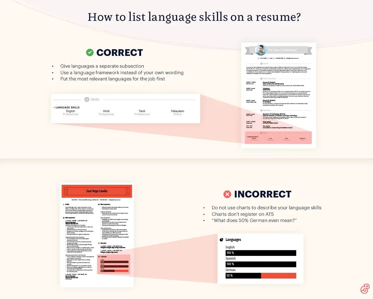 Different Language Levels Cv