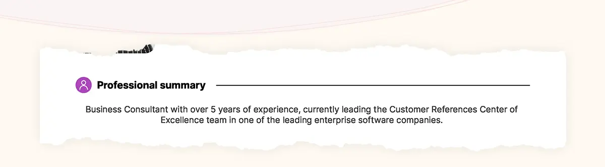 Example of professional summary section on resume