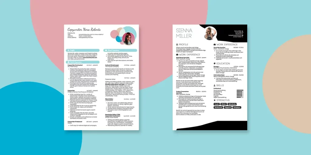 coolest resume examples 2019