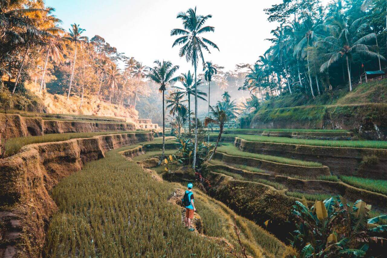 Bali freelance
