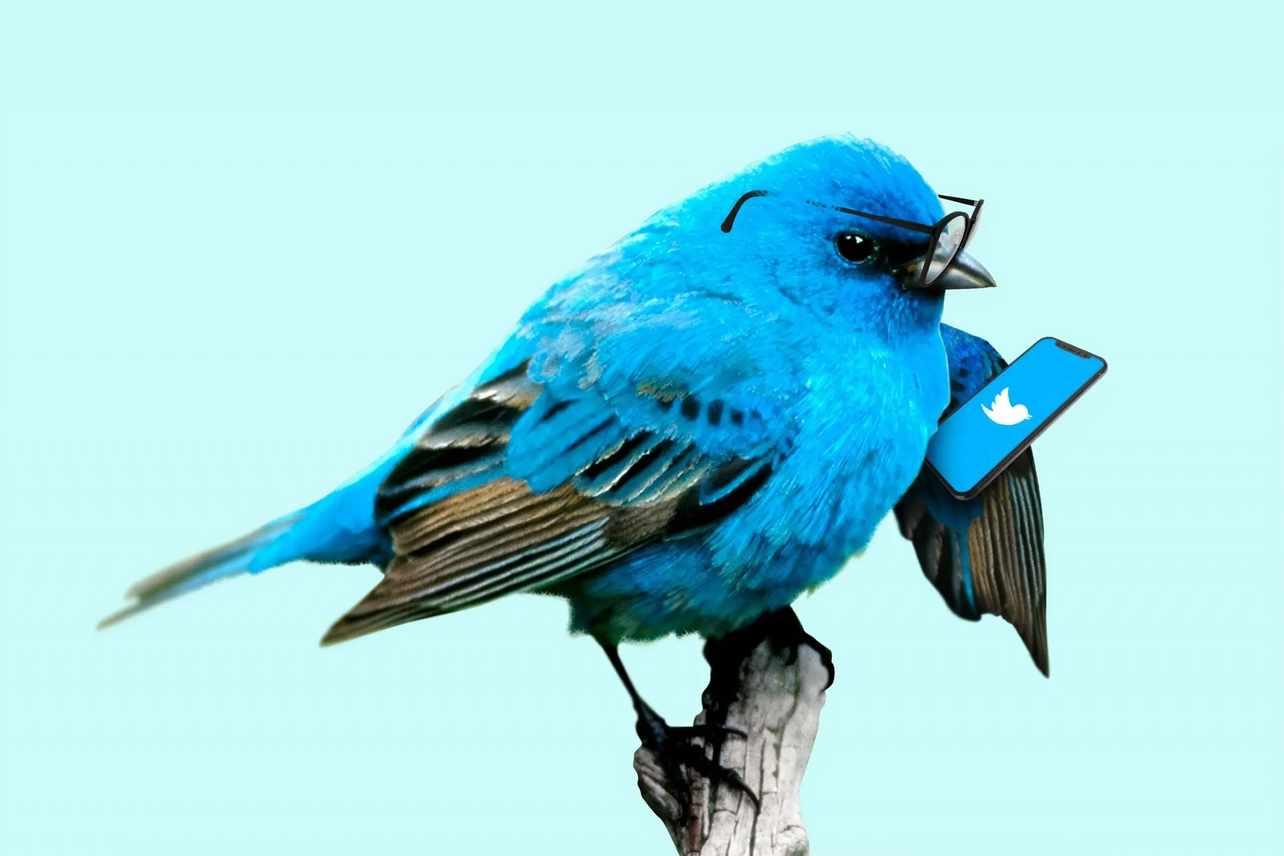 tweet can get you hired