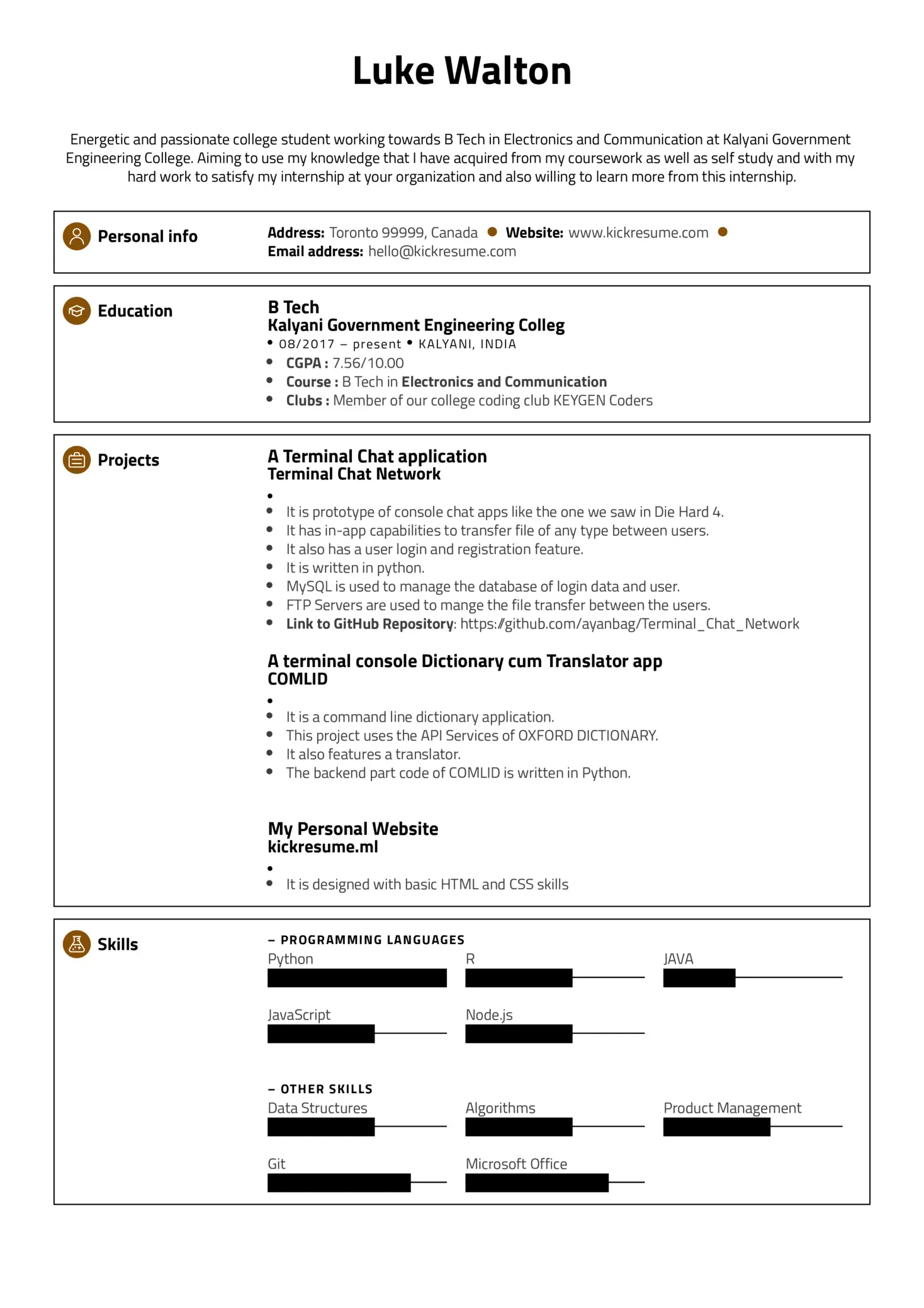 Google resume sample internship
